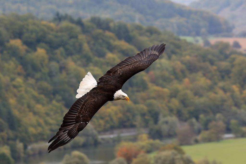 The Orchard House - 3 Bedroom 2 Bathroom mit herrlichem See- und Bergblick. in Peachland, Regional District of Central Okanagan