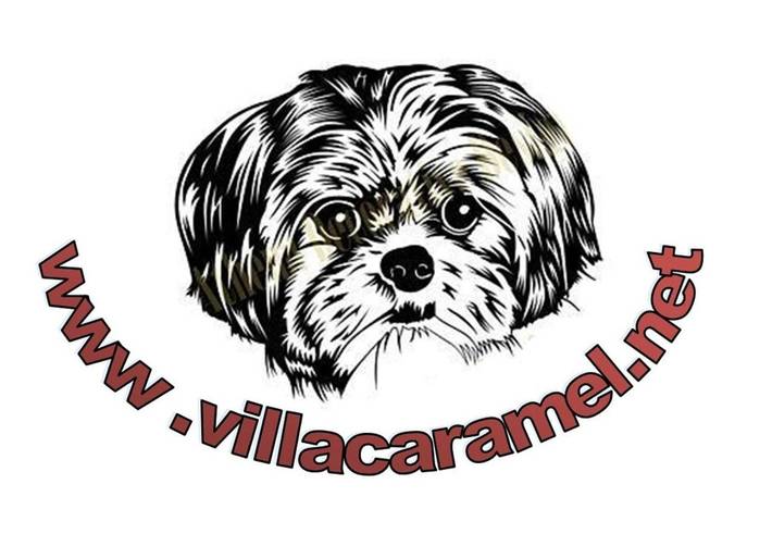 Location de vacances pour 6 personnes, avec vue et jardin ainsi que piscine et terrasse à Saint-Jean-de-Maruéjols-et-Avéjan - 2