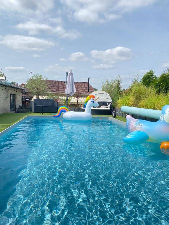 Gîte pour 3 personnes, avec piscine ainsi que vue et jardin à Saintry-sur-Seine - 4