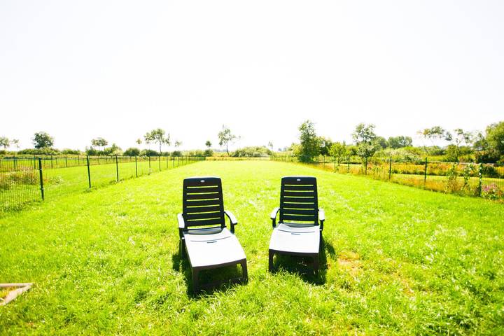 Ferienhaus für 6 Personen, mit Sauna und Seeblick sowie Garten, kinderfreundlich in Schönberg - 3