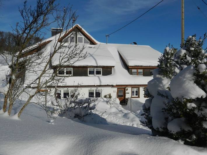 Büchele "Alpenblick in der Dachwohnung" in Dachsberg, Südschwarzwald