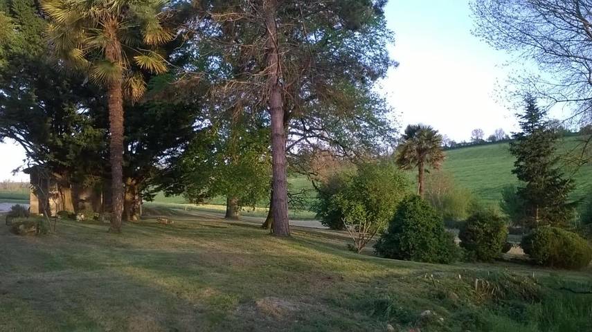 Location de vacances pour 3 personnes, avec vue et jardin à Moncrabeau - 4