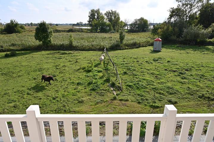 Ferienhaus für 6 Personen, mit Balkon und Sauna sowie Garten in Poseritz - 4