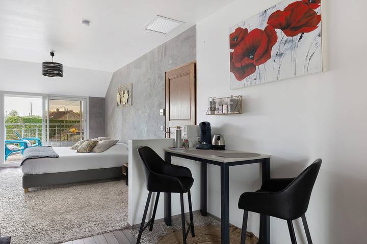 Chambre d’hôte pour 2 personnes, avec jardin ainsi que balcon et jacuzzi dans le Loir-et-Cher - 4