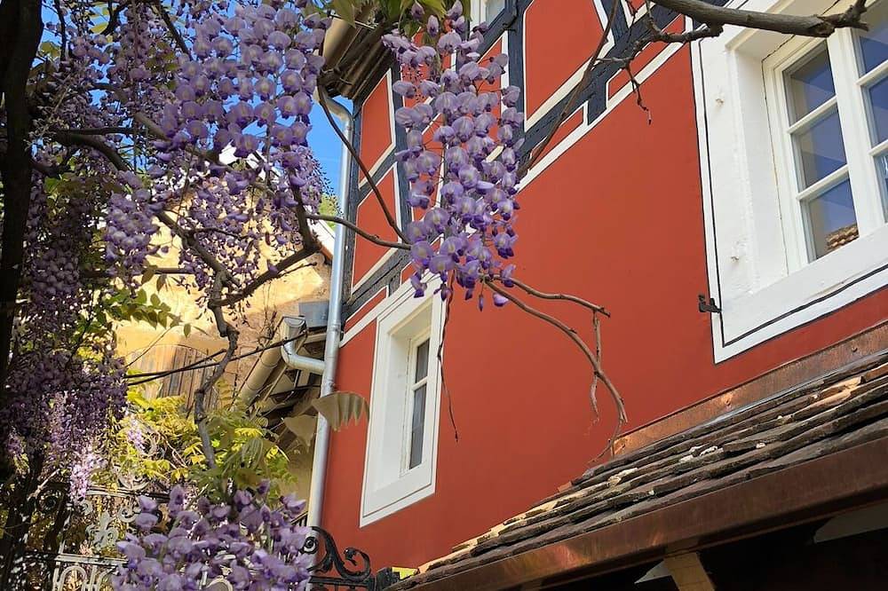 Ganze Wohnung, Wohnen in der Quetschekuchestubb in Neustadt an der Weinstraße, Pfälzer Rheinebene