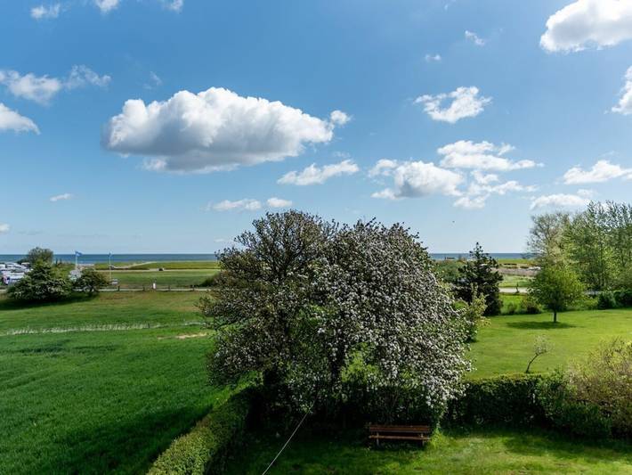 Ferienhaus für 4 Personen, mit Garten in Hasselberg - 3