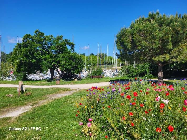 Gîte pour 2 personnes, avec Terrasse et Vue à Marennes