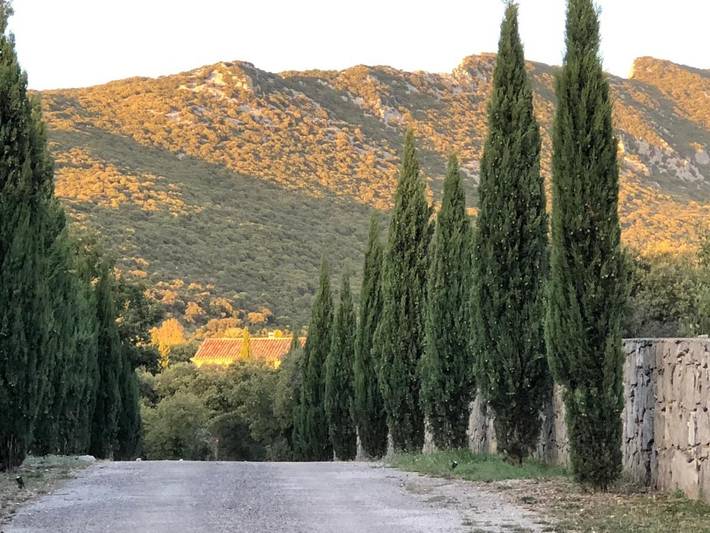 Gîte pour 4 personnes, avec jacuzzi et jardin à Cazevieille
