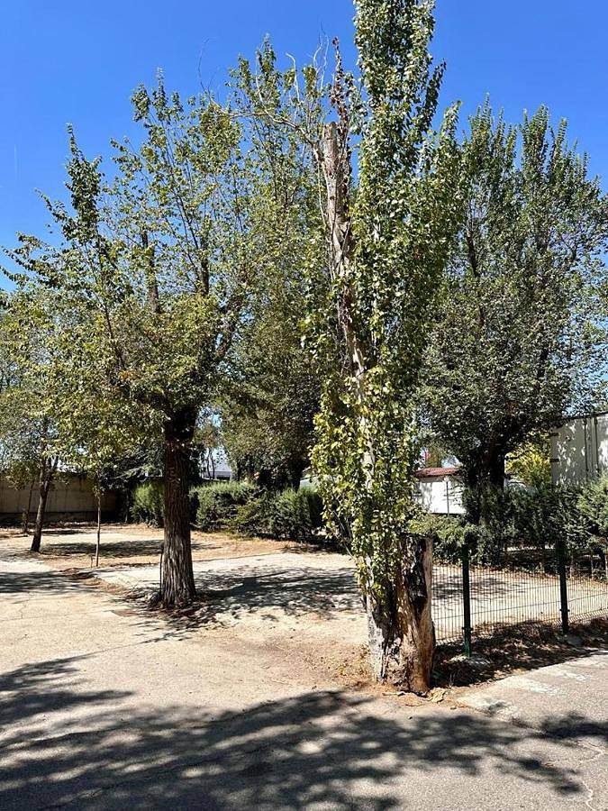 Bungalows Alpha in Getafe, Provincia de Madrid