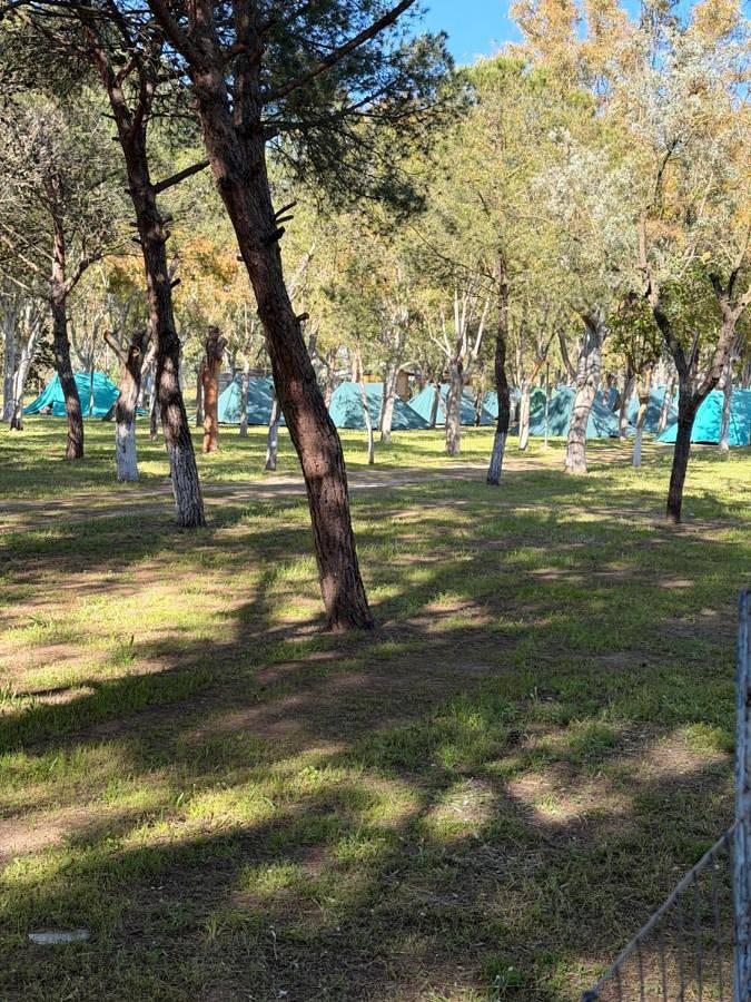 Location de vacances pour 4 personnes, avec Jardin à Manfredonia - 2