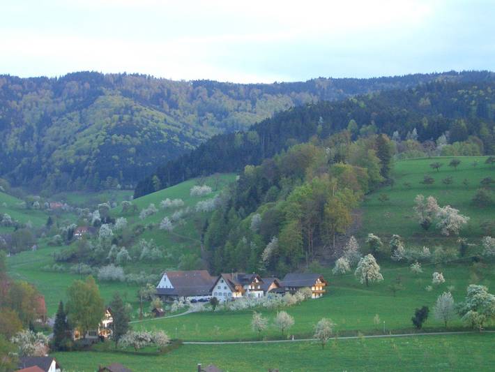 Bauernhof für 3 Personen, mit Garten, kinderfreundlich im Südschwarzwald