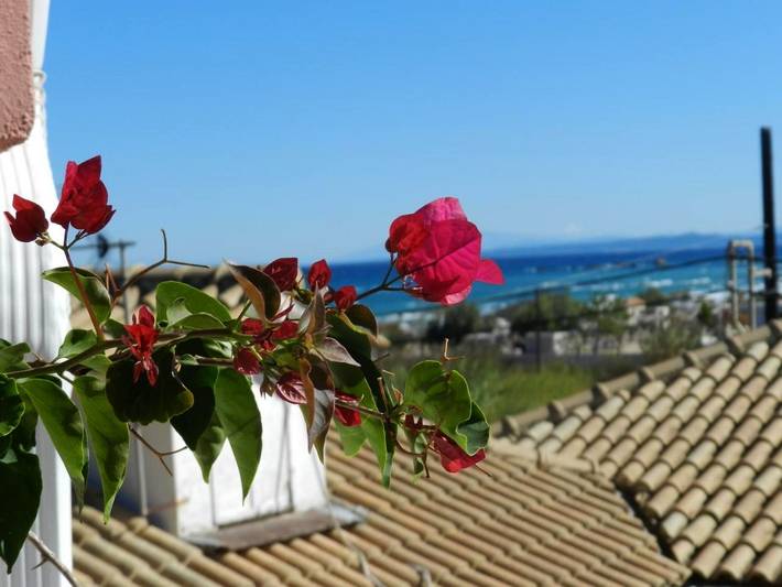 Appart’hôtel pour 3 personnes, avec Balcon et Terrasse ainsi que Jardin et Vue