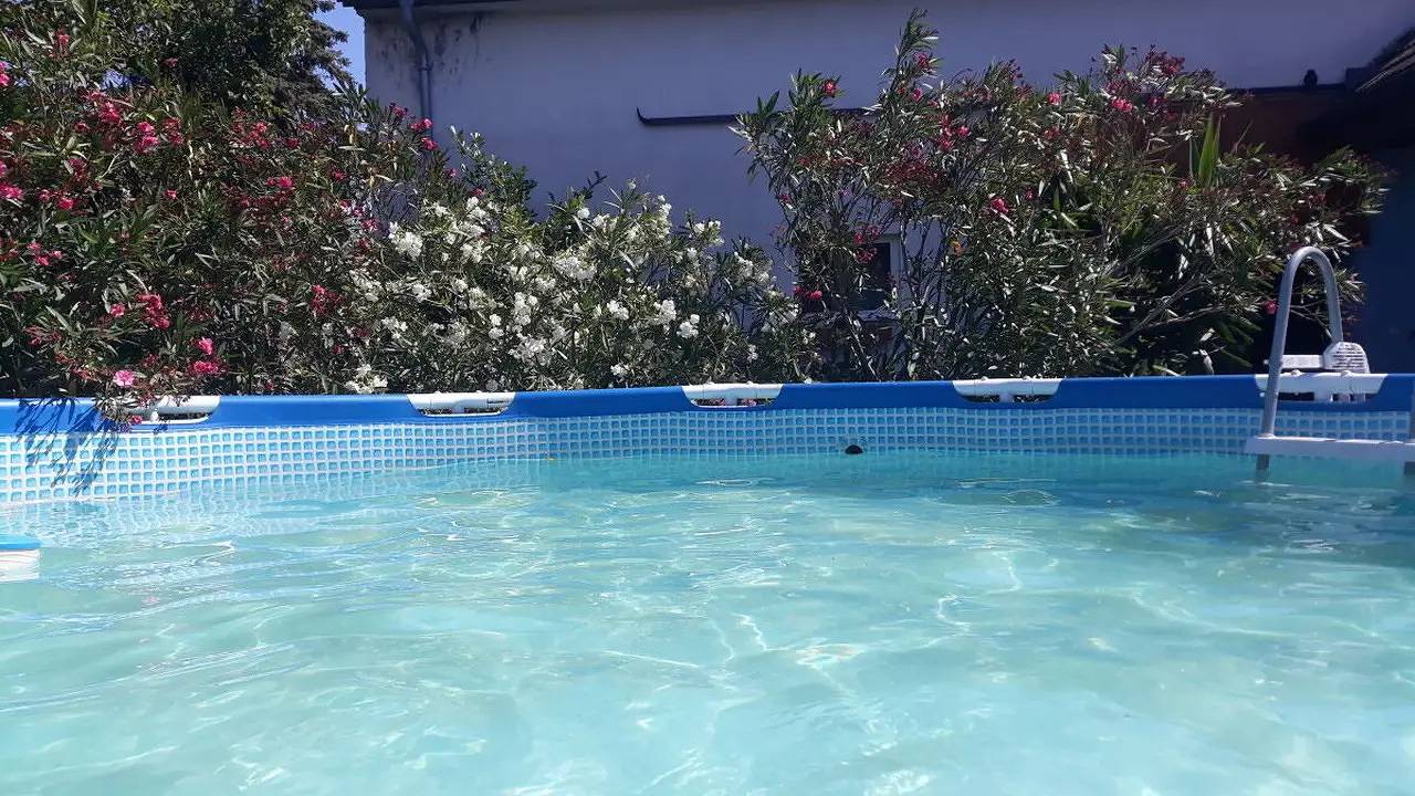 Ganze Ferienwohnung, Ferienwohnung für 8 Personen (100 m²) in Sankt Andrä am Zicksee in Sankt Andrä am Zicksee, Neusiedlersee-Hügelland