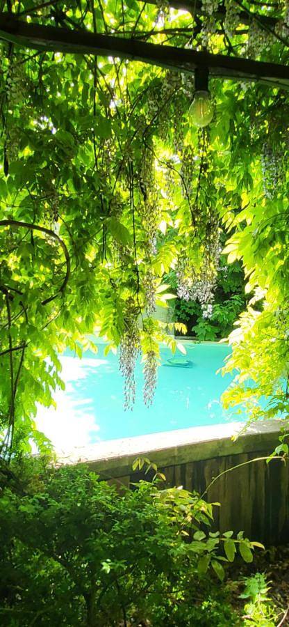 Location de vacances pour 12 personnes, avec jardin ainsi que piscine et vue à Herentals