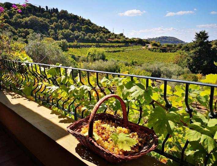 Agriturismo per 2 persone, con panorama e giardino, con animali domestici in Provincia d'Oristano
