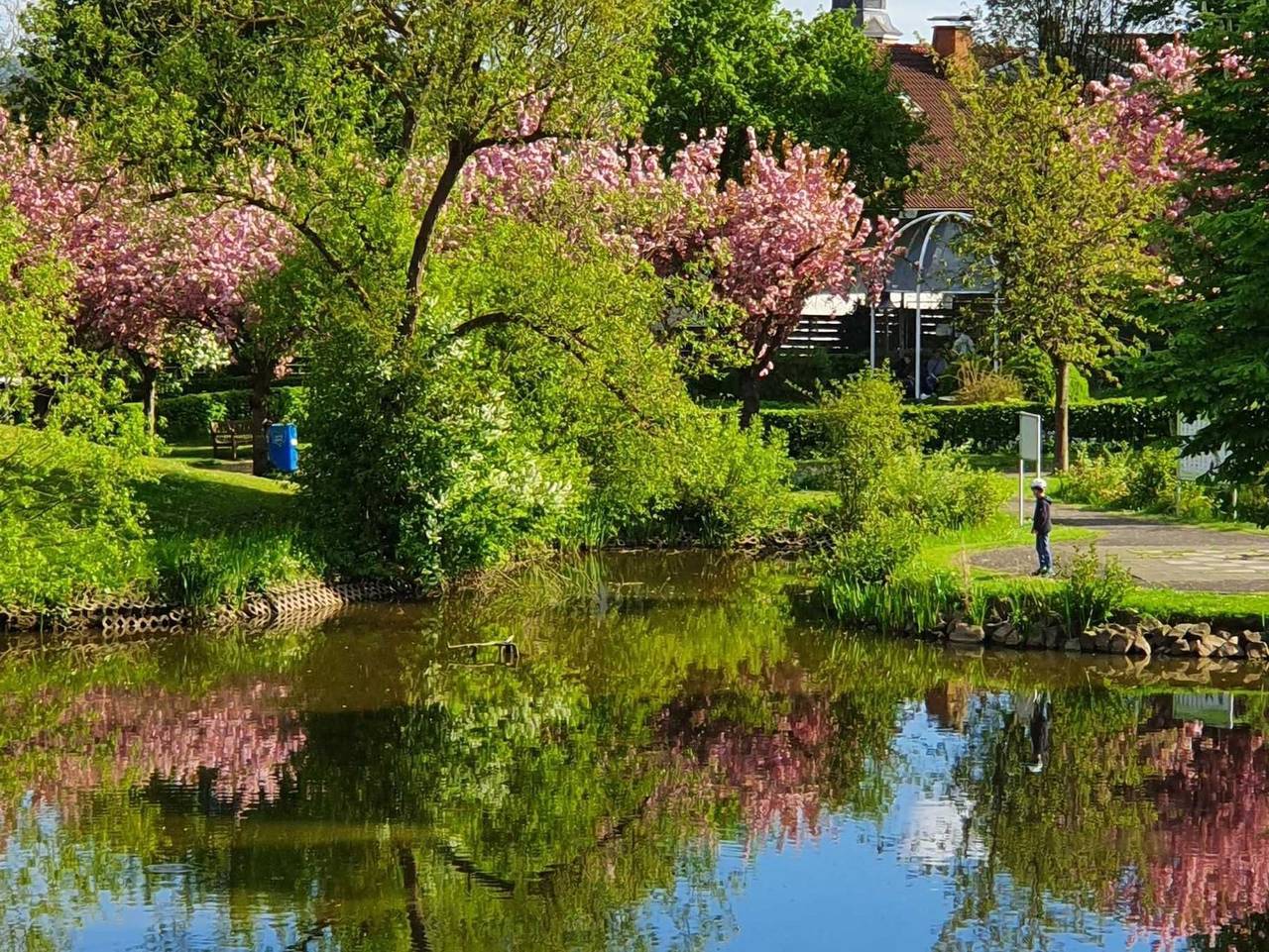 Ganze Ferienwohnung, Kleinod am Kurpark in Bad Zwesten, Schwalm-Eder-Kreis
