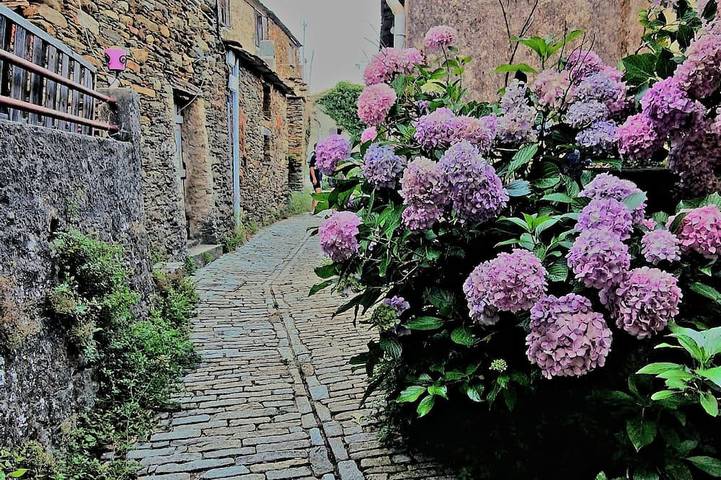 Gîte pour 2 personnes, avec terrasse à Pietracorbara - 3