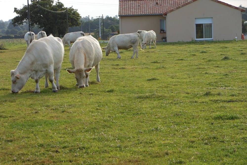 Maison D’hôte pour 2 Personnes dans Chemillé-en-Anjou, Maine-et-Loire