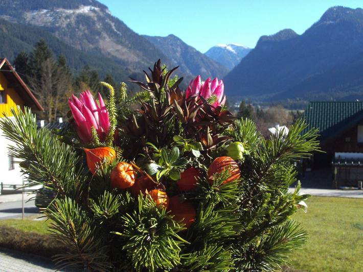 Entire holiday apartment, Apartments Egger Barbara - Biker Room in Gosau, Dachstein Salzkammergut
