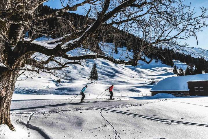 Hôtel pour 2 personnes, avec vue ainsi que jardin et sauna dans Lauenen Bei Gstaad