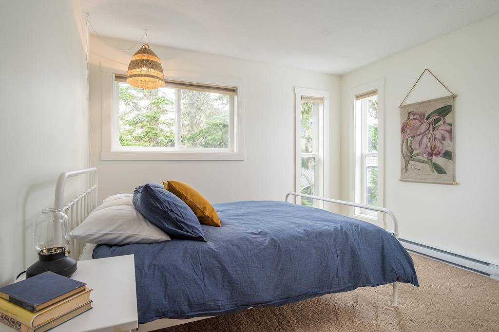 Winter Wren Mount Washignton Village in Mount Washington (BC)