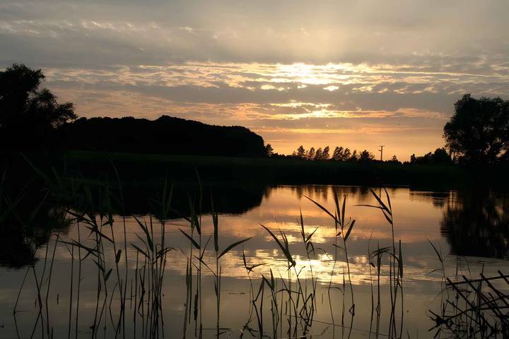 Ferienhaus für 6 Personen, mit Garten am Greifswalder Bodden - 4