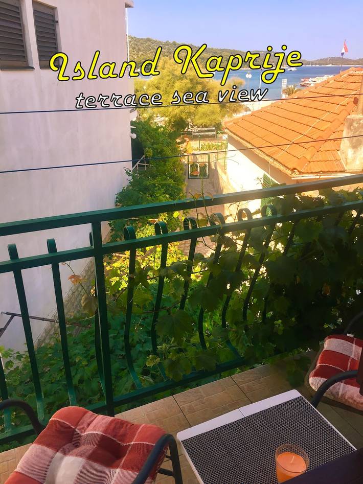 Ferienwohnung für 4 Personen, mit Terrasse und Garten, mit Haustier - 1
