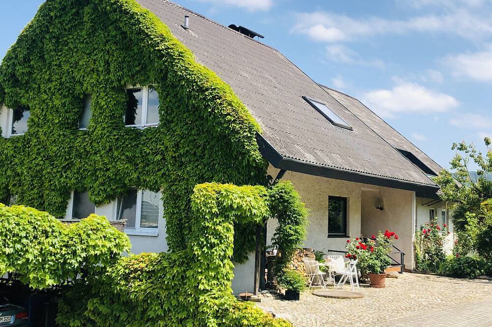 Appartement entier, Charming apartment with barbecue area directly on the vineyard in Jechtingen, Sasbach am Kaiserstuhl