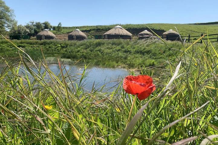 Bungalow for 16 people in Lincolnshire
