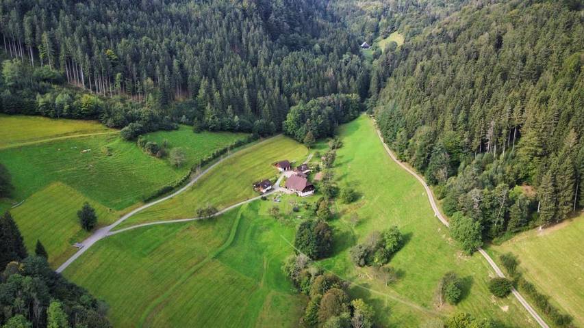 Ferienwohnung für 5 Personen, mit Balkon und Terrasse sowie Garten und Ausblick in Simonswald