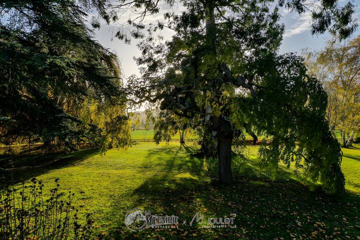 Maison de vacances 'L'Olivier, La Métairie' avec jardin privé et Wi-Fi in Arvigna, Ariège