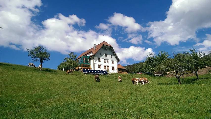 Ferienwohnung für 3 Personen, mit Garten und Pool