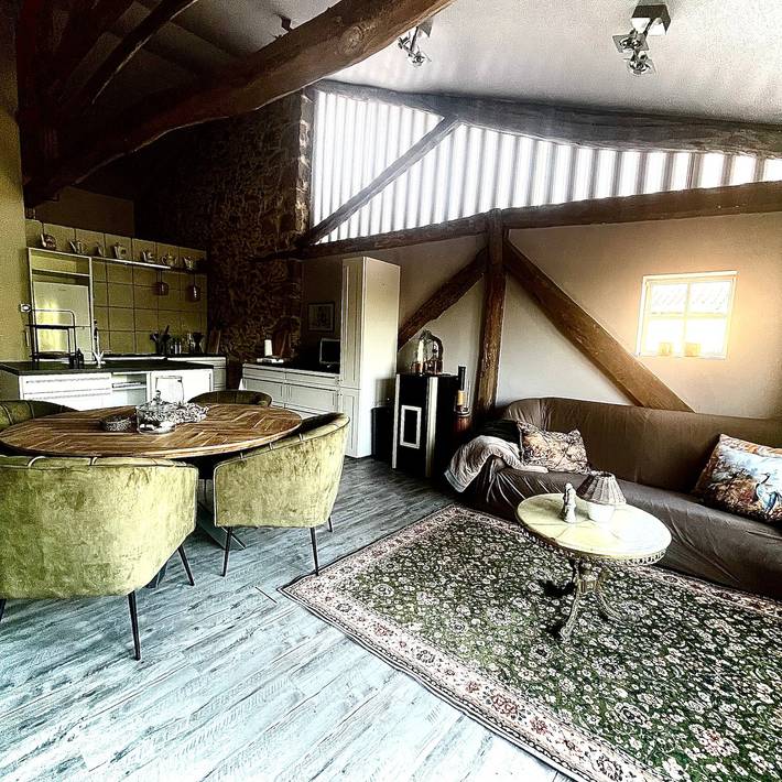 Apartamento entero, Apartamento 'Chez Germaine Et Fred' con Wi-Fi y aire acondicionado in Le Ségur, Región de Albi