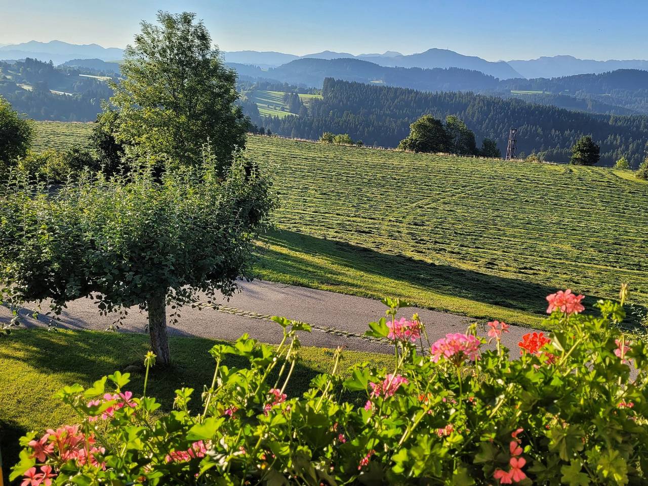 Henninghof - Ferienhaus in Weitnau, Bayerisch Schwaben