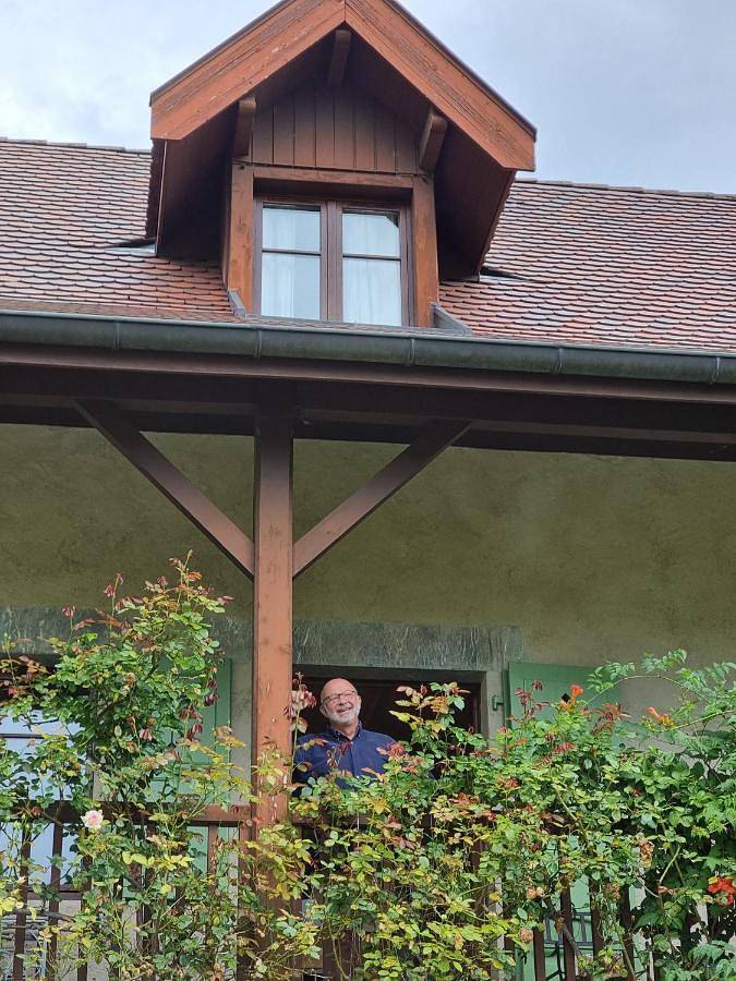 Standard Double Room in Menthon-Saint-Bernard, Région d'Annecy