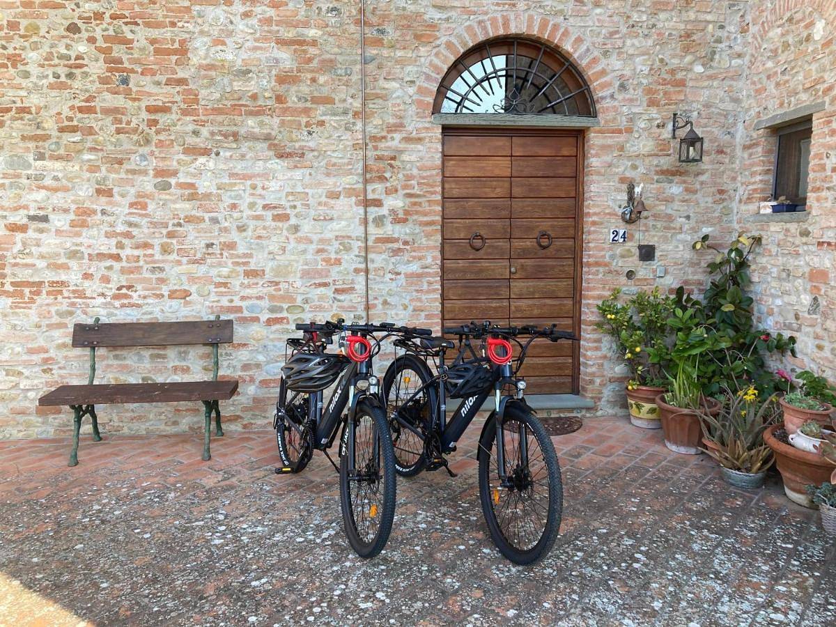 Podere Sanripoli in Montespertoli, Firenze province