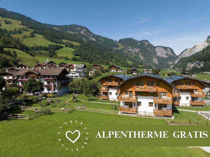 Ferienhaus für 6 Personen, mit Balkon und Terrasse sowie Garten und Pool in Dorfgastein