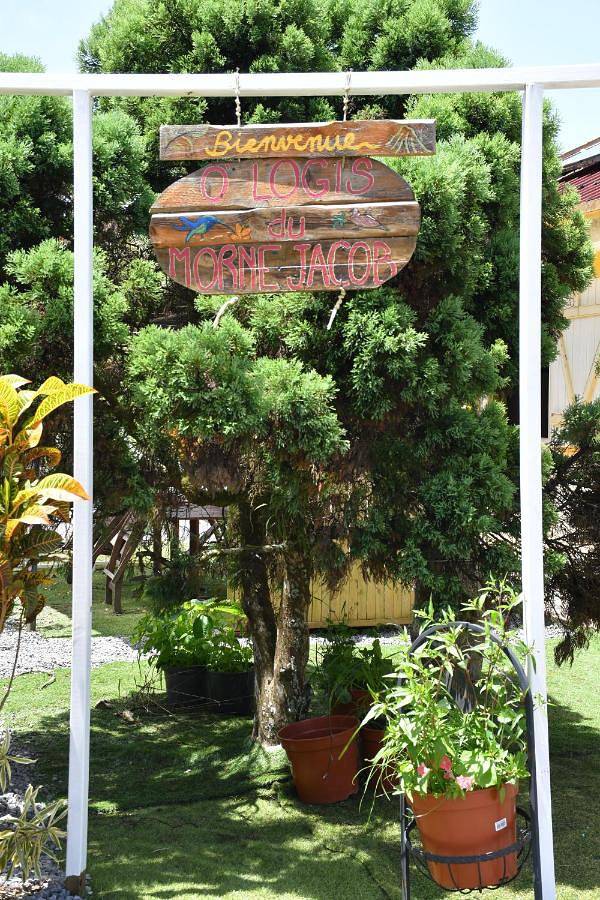 Gîte pour 2 personnes, avec jardin et jacuzzi à Le Morne-Rouge - 4