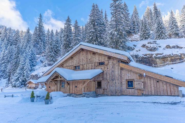 Chalet pour 15 personnes, avec jacuzzi et jardin, animaux acceptés