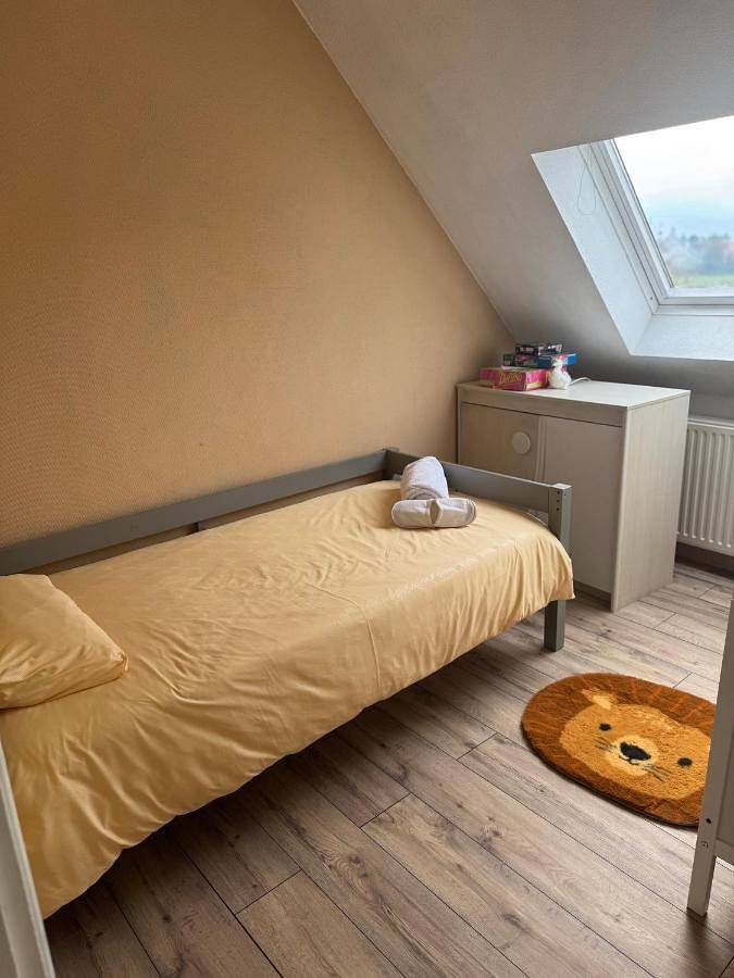 Gîte pour 6 personnes, avec vue et jardin, adapté aux familles à Wintzenheim - 3