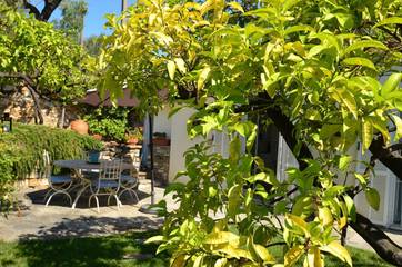 Casa Vacanza per 3 Persone in Imperia, Provincia di Imperia, Foto 1