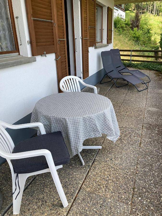 Ganze Wohnung, Friedmatte Breathtaking View in Beatenberg, Thunersee