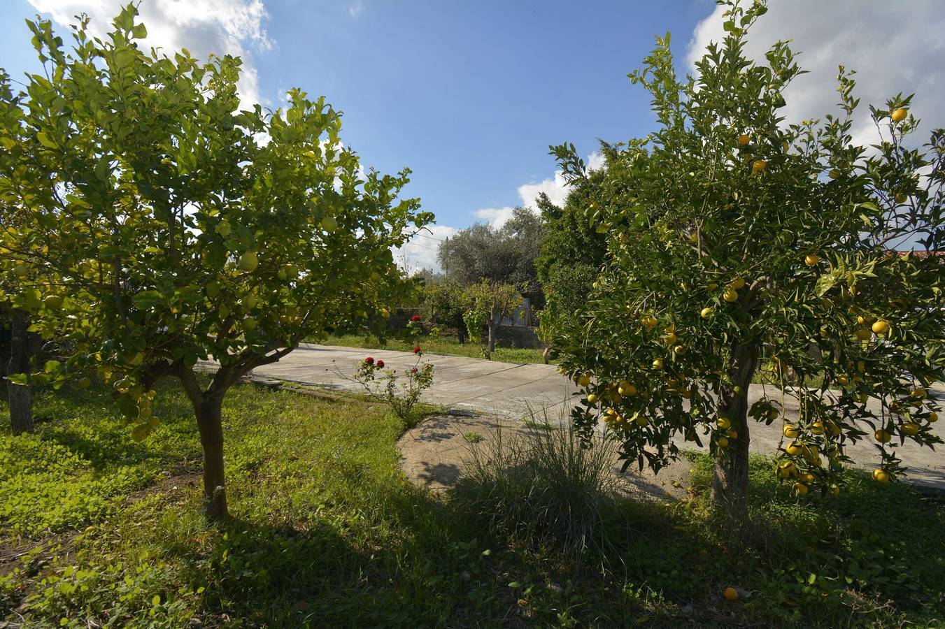 Villa Mameli in Augusta (Italy), Augusta (comune)