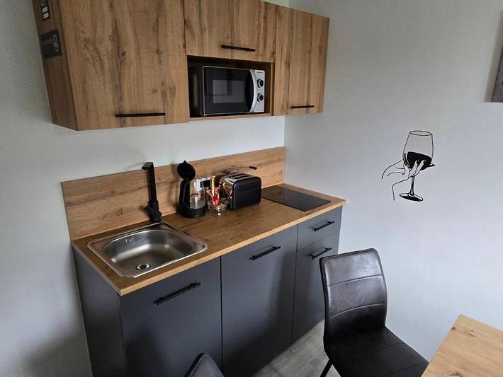 Gîte pour 6 personnes, avec Balcon et Terrasse ainsi que Jardin et Piscine dans Ormož - 4