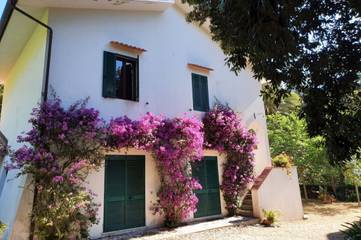 Ferienwohnung für 4 Personen in Porto Azzurro, Elba, Bild 1