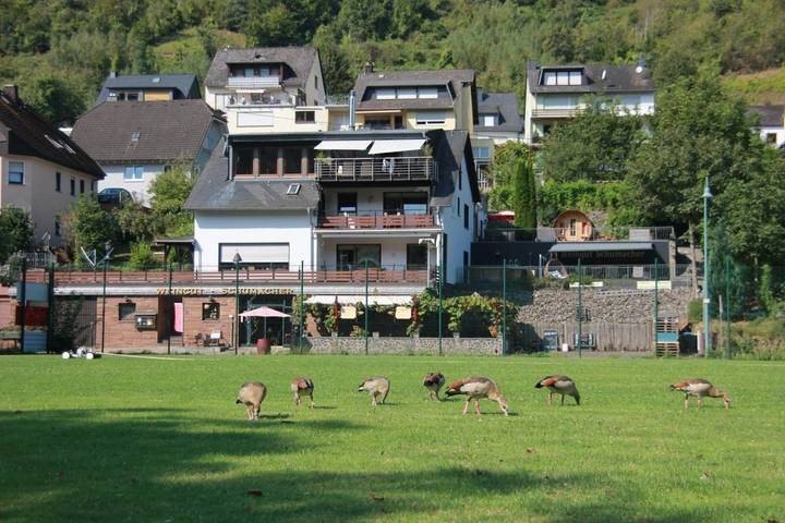 Ferienwohnung für 2 Personen, mit Garten und Ausblick sowie Terrasse und Sauna in Sankt Aldegund - 3