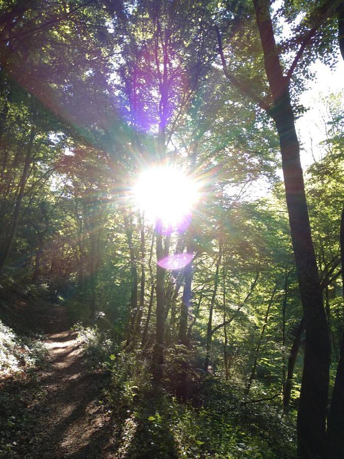 Ferienwohnung für 3 Personen, mit Balkon in Veldenz - 4