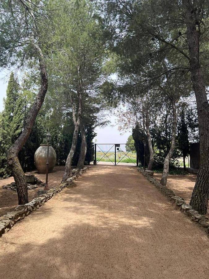 Casa rural para 6 personas, con Terraza además de Jardín y Piscina en Argamasilla de Alba - 4