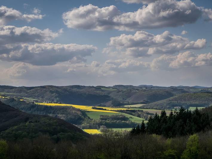 Ferienwohnung für 4 Personen, mit Terrasse und Garten in Rengsdorf-Waldbreitbach - 4