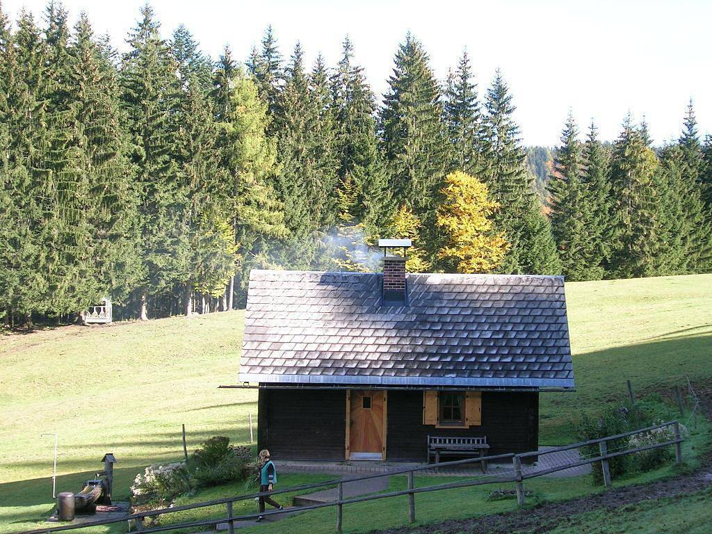 Ganze Ferienwohnung, Ferienwohnung für 6 Personen mit Terrasse in Spital am Pyhrn, Kirchdorf an der Krems (Bezirk)